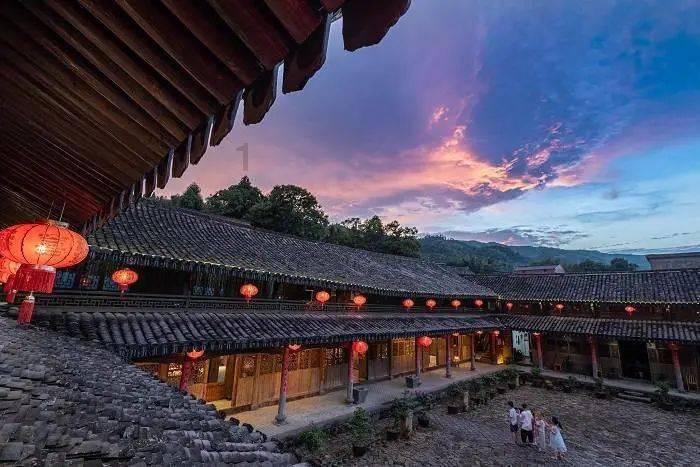 救援鹦鹉